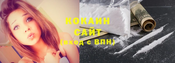 соль ск Новодвинск