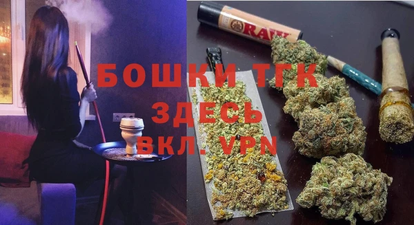соль ск Новодвинск