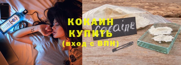 соль ск Новодвинск