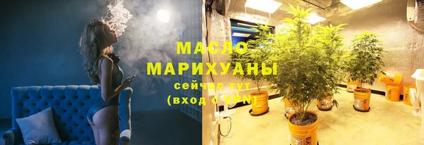 соль ск Тавда