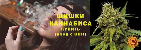соль ск Новодвинск